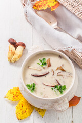 Homemade boletus cream with noble mushrooms. Creamy mushroom soup.