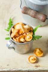 Healthy chanterelles freshly picked. Noble and yellow mushrooms.