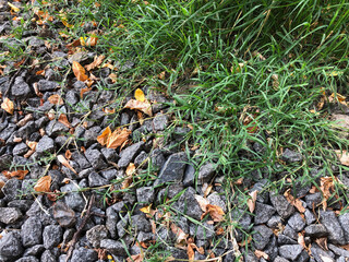 Grass growing next to rock gravel