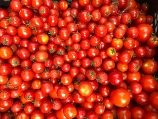 Huge pile of fresh cherry tomatoes at the farmers market
