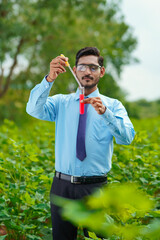 Young indian agronomist collecting sample at agriculture field.