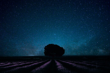 Guadalajara, Madrid. 