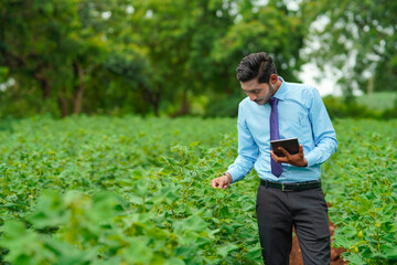 Young indian agronomist or officer using tablet at agriculture field.