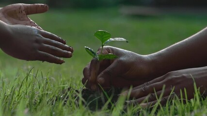 African mother and child planting in ground green sprout