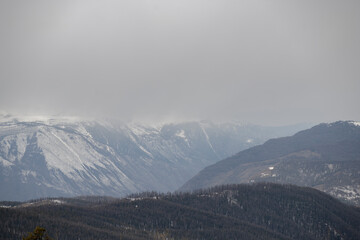 Fototapeta premium mountains in the fog