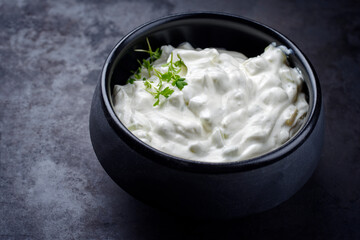 Traditional Greek tzatziki fat yogurt served with cress as top view in a modern design bowl with copy space