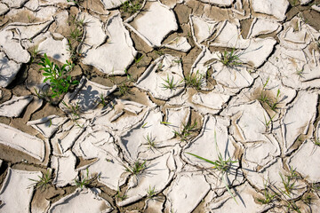 Dry  cracked chalk texture in the process of drought and lack of rain or moisture.  The cracked soil of the earth due to climate change
