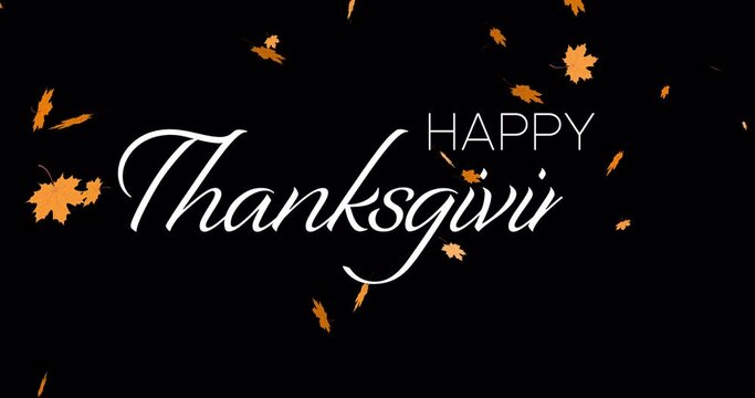 Happy Thanksgiving Handwritten Animated Text with Falling Maple Leaves. Holiday Animation on Black and White Background