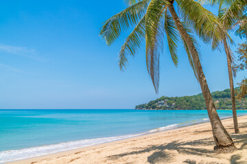 Kamala Beach with crystal clear water and coconut tree, famous tourist destination, Phuket, Thailand