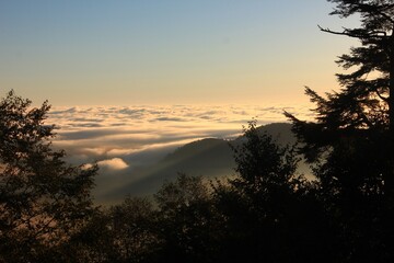 雲取山の夜明け。雲取山荘から見た日の出。空と雲海がオレンジ色に染まる。
