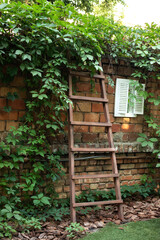 Rustic wooden ladder at brick wall with climbing wild grapes. Garden ladder leaning against wall in Park, preparations for harvest season. Pruning gardening high tree. Concept home garden. 