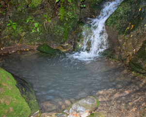 waterfall in the forest