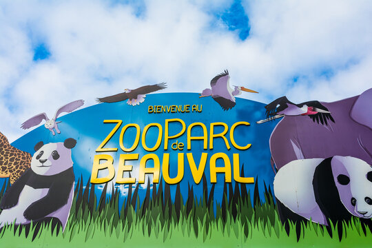Zoo Beauval Images – Browse 1,373 Stock Photos, Vectors, and Video
