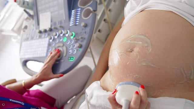 Belly of a pregnant woman during ultrasound. Doctor woman performing an ultrasound procedure on pregnant woman with modern medical equipment. Close-up.