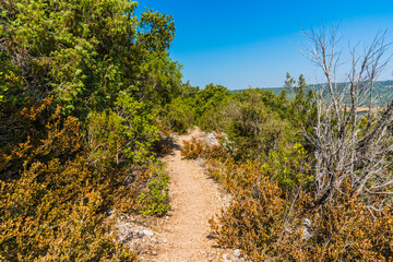 Fototapeta na wymiar Montpezat trail, Verdon gorge, Provence, Provence Alpes Côte d'Azur, France 