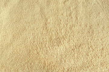 Synthetic brown fur texture for the background.
