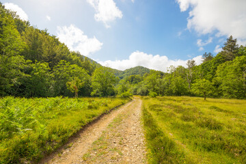 Pathway on the Ramaceto Mount trail near the village of Ventarola, Genoa province, Italy