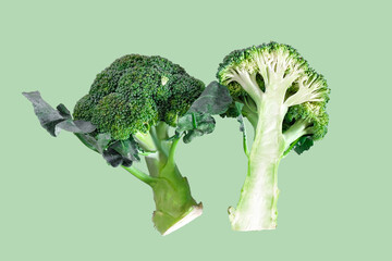 Fresh green broccoli on color background. Organic food.