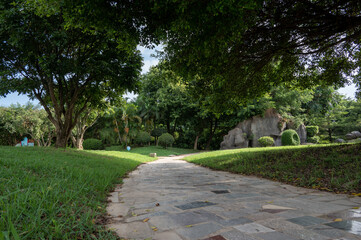 There are green trees and grass on both sides of the road