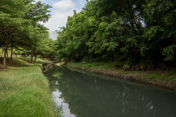 Fototapeta premium On both sides of the river are forests and grasslands