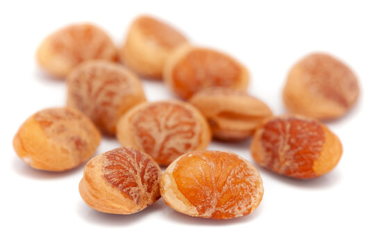 Micro close-up and details of Organic dry fruit chirongi or chironji or charoli nuts  (Buchanania lanzan)  isolated over white background.