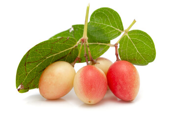 Micro close-up and details of Organic white pink Indian karonda (Carissa carandas) carandas plum and karanda isolated over white background.