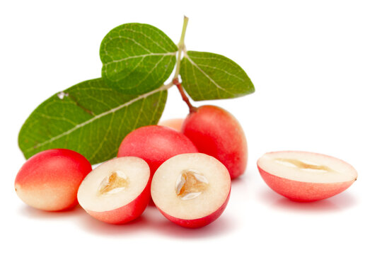 Micro close-up and details of Organic white pink Indian karonda (Carissa carandas) carandas plum and karanda isolated over white background.