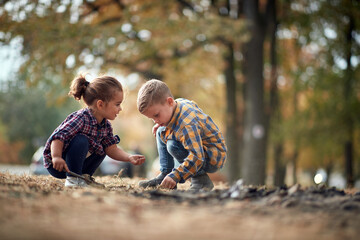 Little brother and sister interested in life in the ground in the forest