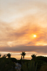 Beautiful sunset at Vale do Lobo, Almancil, Algarve