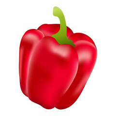  Realistic bell pepper red isolated shiny on white background