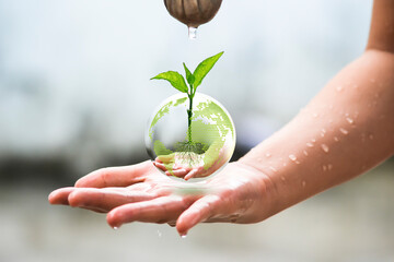 Palm guards the floating earth crystal ball with plant buds inside