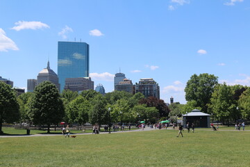 Boston public garden