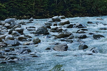 Val Genova, Parco Naturale Adamello Brenta