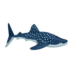 Whale shark isolated on white background. Cartoon character of ocean for children.