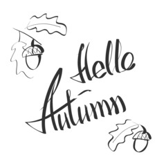 Hello autumn hand lettering phrase on orange maple leaf background. Hand written slogan hello autumn bright watercolor texture isolated on white background for your poster, flyer or card design