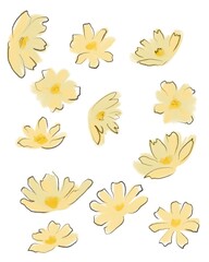 set of yellow flowers