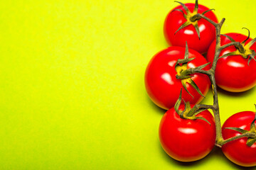 red tomatoes with a green stalk, on a green background, concept,