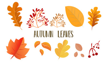 Fototapeta na wymiar Autumn leaves set, isolated on white background. Leaves with fade texture, vector illustration. Good for social media, promotional materials, ads, email marketing.
