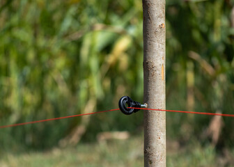 Obraz premium Electric shepherd wire in a plastic holder and blurred green crop fields in background