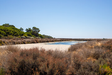 Landscape at Ria Formosa lagoon, Algarve