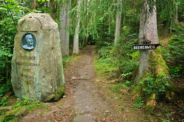 Wandern im Schwarzwald bei Bad Teinach