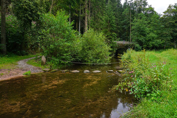 Fototapeta na wymiar Fluss Teinach am Premiumwanderweg 