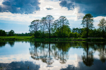 trees reflected in the water, a quiet day on the Narew River, Lomza, Podlasie, Poland