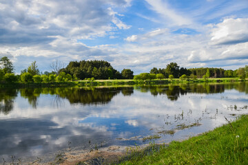 Fototapeta na wymiar trees reflected in the water, a quiet day on the Narew River, Lomza, Podlasie, Poland