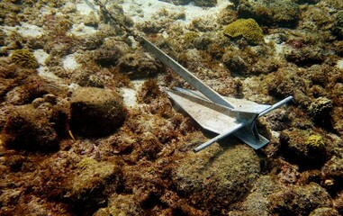 Underwater photo of an Danforth anchor on a chain, laying on the bottom of a natural seabed