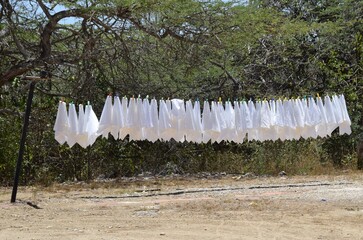 White cotton cloth clipped with colorful pegs on a outdoor clothesline, environmental friendly...