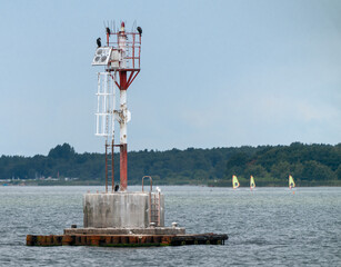 Group of Great cormorants, Phalacrocorax carbo, sitting on atop of metal red and white radio tower...