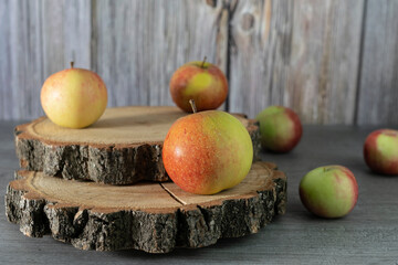 Yellow-red apples lie on round wooden blocks. Dark wooden background