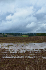 Fototapeta na wymiar Schwarzer Wolkenhimmel über Ackerlandschaft nach dem Unwetter - Überschwemmung