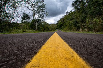 Camino en la selva